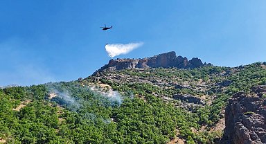 Munzur Vadisi Milli Parkı'ndaki yangın kontrol altına alındı