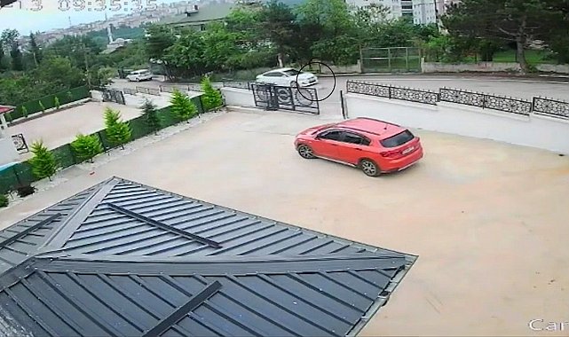 Ordu'da otomobilin çarptığı köpek öldü; 10 yaşındaki kız bayıldı