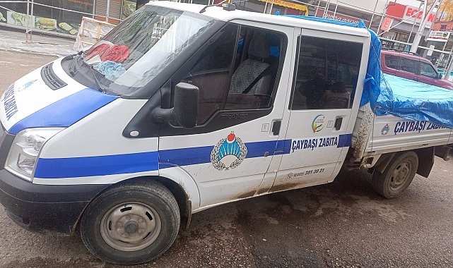 Ordu'da sokak hayvanlarını Akkuş ilçesine bırakan 3 kişi yakalandı