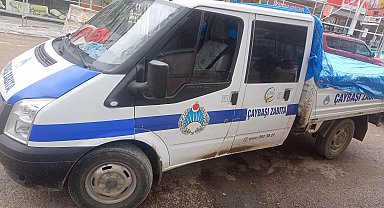 Ordu'da sokak hayvanlarını Akkuş ilçesine bırakan 3 kişi yakalandı