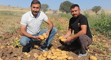 Patatesin tarladaki kilo fiyatı 10, pazar ve marketlerde 40 lira