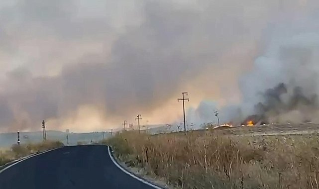 Polatlı'da yangın çıkaran şüpheli gözaltına alındı