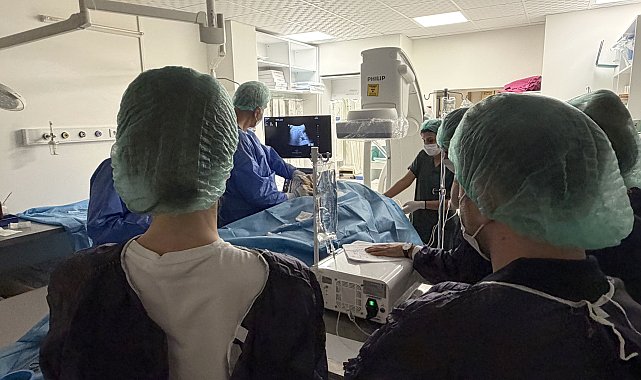Romanyalı doktorlar, ablasyon yöntemini Türk hekimlerden öğrendi