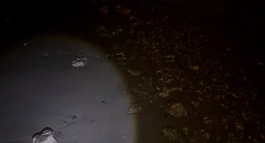 Samsun'da sahile vuran dolu çuvallar, ekipleri harekete geçirdi