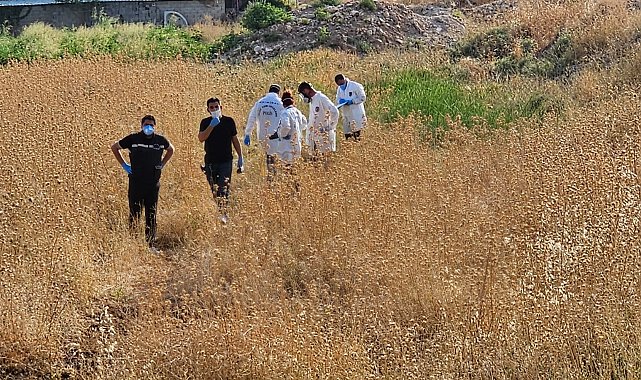 Şanlıurfa'da tarlada erkek cesedi bulundu