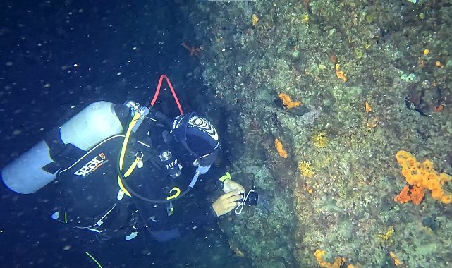 Saros Körfezi'nde 'gece dalışı' dalgıçların yeni gözdesi oldu