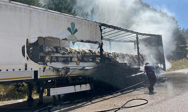 Şeker yüklü TIR'ın dorsesinde çıkan yangın ağaçlara sıçradı