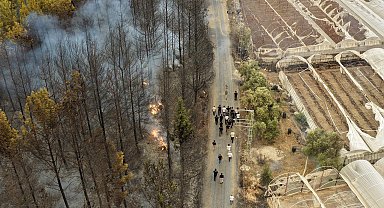 Seydikemer'de tarım arazisinde çıkan yangın, Kaş'ta ormana sıçradı