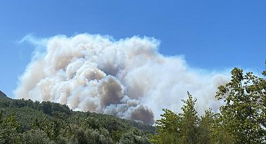 Seydişehir'de tarım arazisinde çıkan yangın, Kaş'ta ormana sıçradı