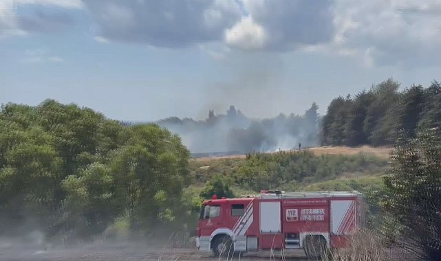 Silivri'de iki farklı otluk alanda çıkan yangın söndürüldü