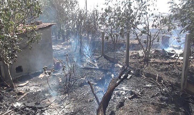 Silivri'de otluk alanda çıkan yangın çiftlik evleri ve fabrikaya sıçradı; yavru kaplumbağalar telef oldu