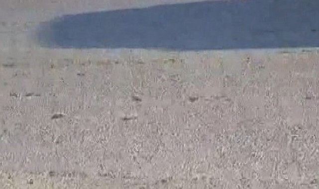 Sultangazi'de cip park halindeki hafriyat kamyonuna çarptı: 3'ü çocuk 6 yaralı