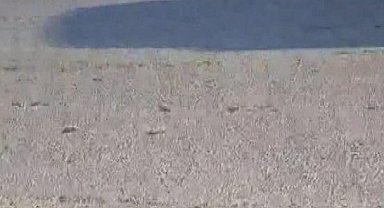 Sultangazi'de cip park halindeki hafriyat kamyonuna çarptı: 3'ü çocuk 6 yaralı