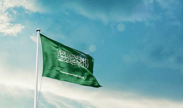 Suudi Arabistan'da mobilya fabrikasında yangın: 16 ölü
