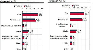 TCMB, hanehalkı beklentilerini açıkladı