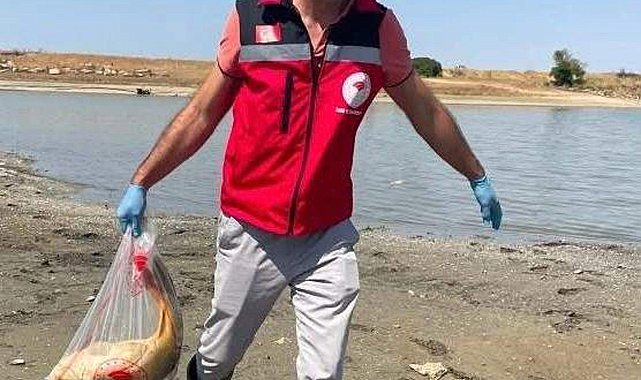 Tekirdağ'da gölette balık ölümlerine inceleme