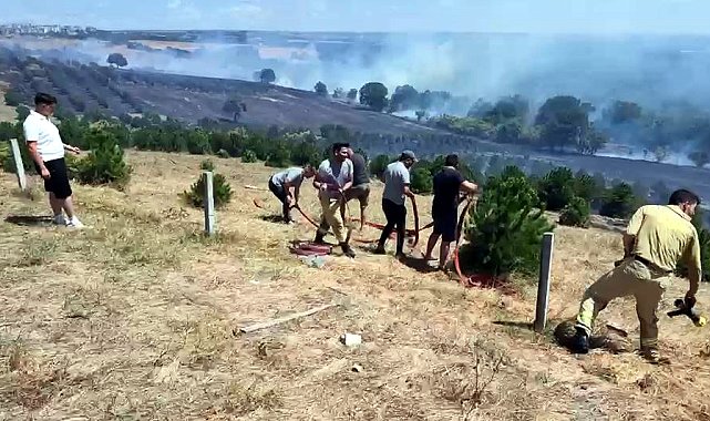 Tekirdağ'da yangın; 100 dekar alan zarar gördü