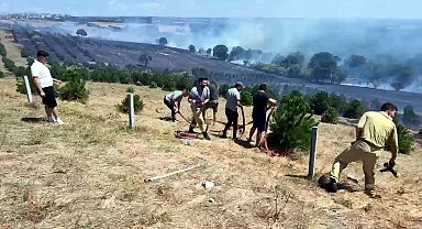 Tekirdağ'da yangın; 100 dekar alan zarar gördü