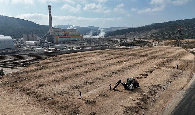 Termik santralin 90 derecelik sıcak suyu, ilk kez serada kullanılacak