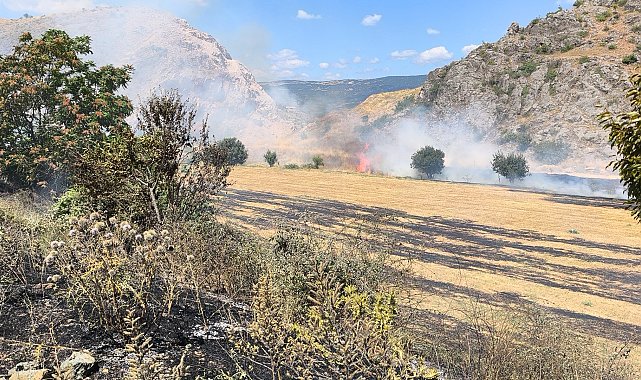 Tokat'ta ot yangını, büyümeden söndürüldü