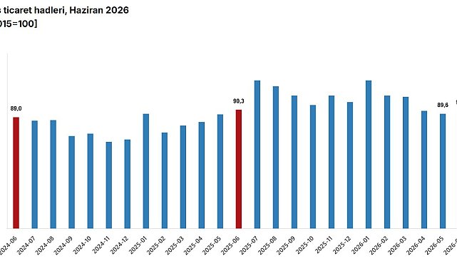 TÜİK: Dış ticaret haddi haziranda azaldı