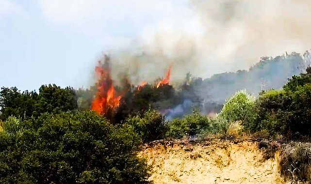 Turgutlu'da orman yangını 2 saatte kontrol altına alındı
