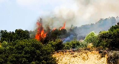 Turgutlu'da orman yangını 2 saatte kontrol altına alındı
