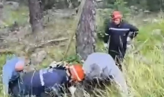Uçuruma yuvarlanan ineği itfaiye vinçle kurtardı