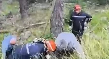 Uçuruma yuvarlanan ineği itfaiye vinçle kurtardı