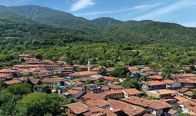 UNESCO Gönüllüleri Cumalıkızık’ı mercek altına aldı