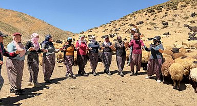 Yaylada süt sağımı sonrası halay çekerek stres atıyorlar