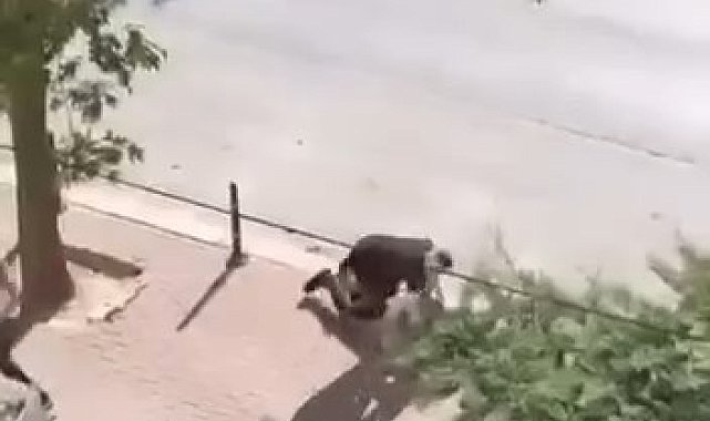 Yolda karşılaştığı husumetlisini bıçakla öldürdü; o anlar kamerada