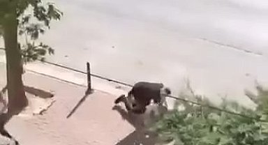 Yolda karşılaştığı husumetlisini bıçakla öldürdü; o anlar kamerada