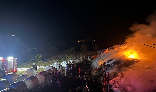 3 bin balya ot yandı, 10 ton buğday kurtarıldı