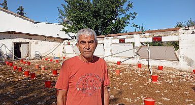 Adana'da hortumda zarar gören çiftliklerdeki 20 bin civciv öldü