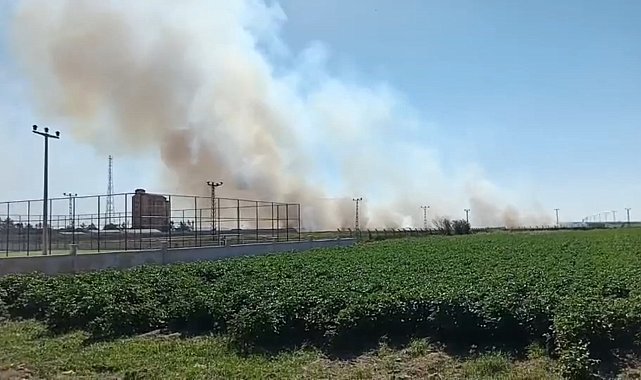Akçakale sınır hattındaki mayınlı alanda yangın endişe yarattı