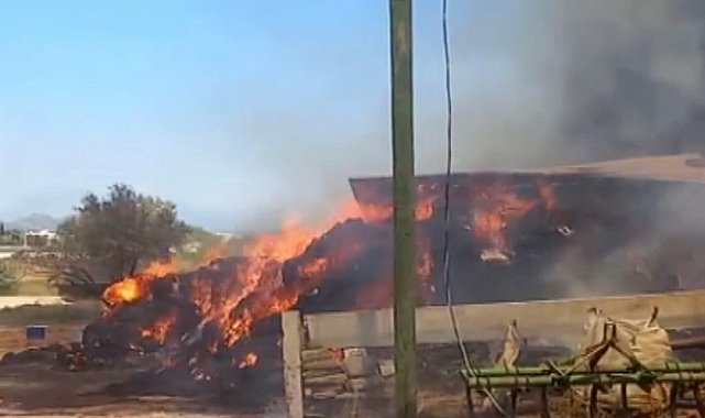 Anız yangınında alevler ağıllara sıçradı; 4 bin saman balyası ile 4 ton fenni gübre yandı
