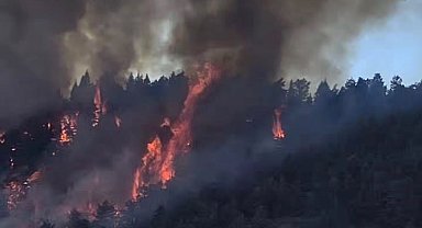 Ankara'da orman yangını
