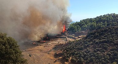 Antalya Kumluca'da orman yangını