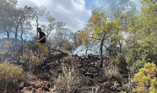 Antalya'da orman yangını büyümeden kontrol altına alındı