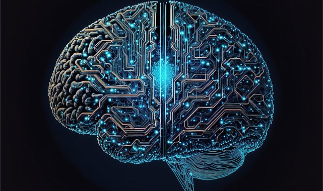 Araştırma: Bilim insanları kafatasının içinde gizlenen yeni bir organ keşfetti