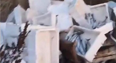 Arnavutköy'de kasalar dolusu bozuk balığı araziye döktü; 40 bin lira para cezası kesildi