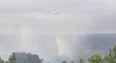 Arnavutköy'de ormanda yangın -1