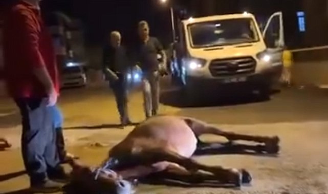 Ata şiddet uygulandığı iddiası; 2 şüpheli gözaltında