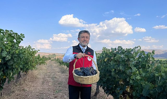 Bakan Yumaklı: Bu sene 3 milyon 850 bin tonluk bir üzüm üretimi gerçekleşecek