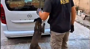 Balıkesir'de 109 bin adet sentetik ecza hapı ele geçirildi
