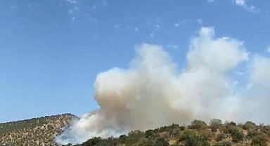 Balıkesir'de orman yangını