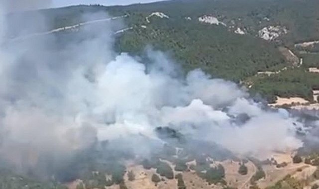 Balıkesir'de orman yangını