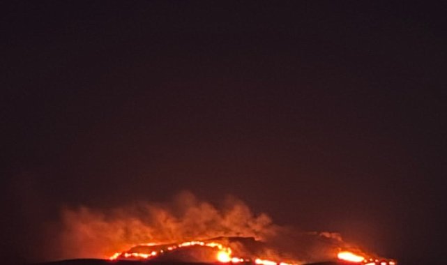 Bodrum'da maki ve ot yangını