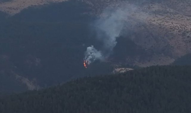 Bolu'da orman yangını